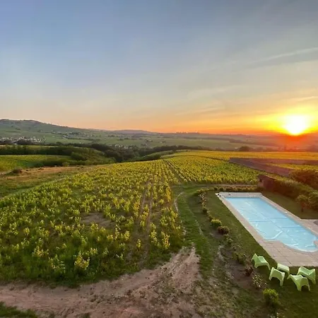 Apartamento Au Coeur Des Vignes Chenas Du Beaujolais La Chapelle-de-Guinchay Exterior foto
