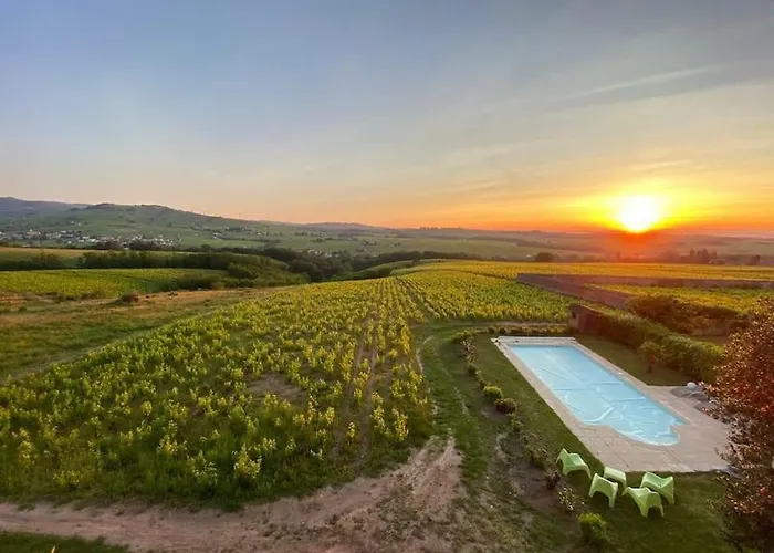 Au Coeur Des Vignes Chenas Du Beaujolais