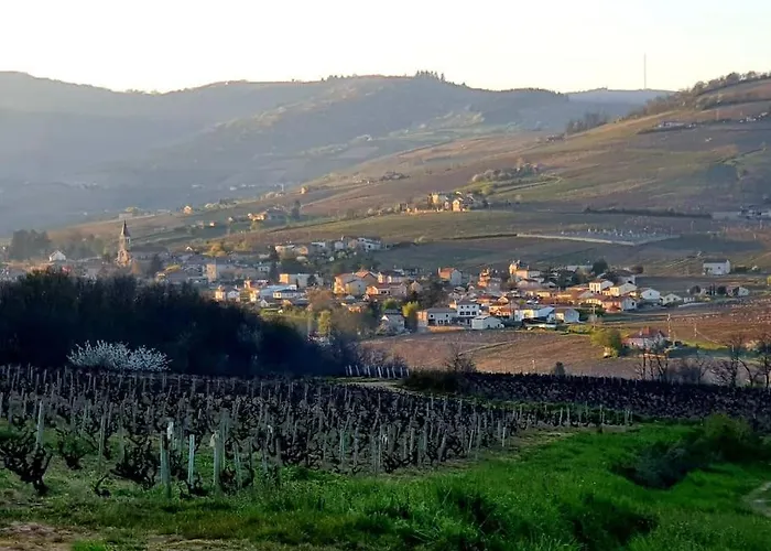 Au Coeur Des Vignes Chenas Du Beaujolais