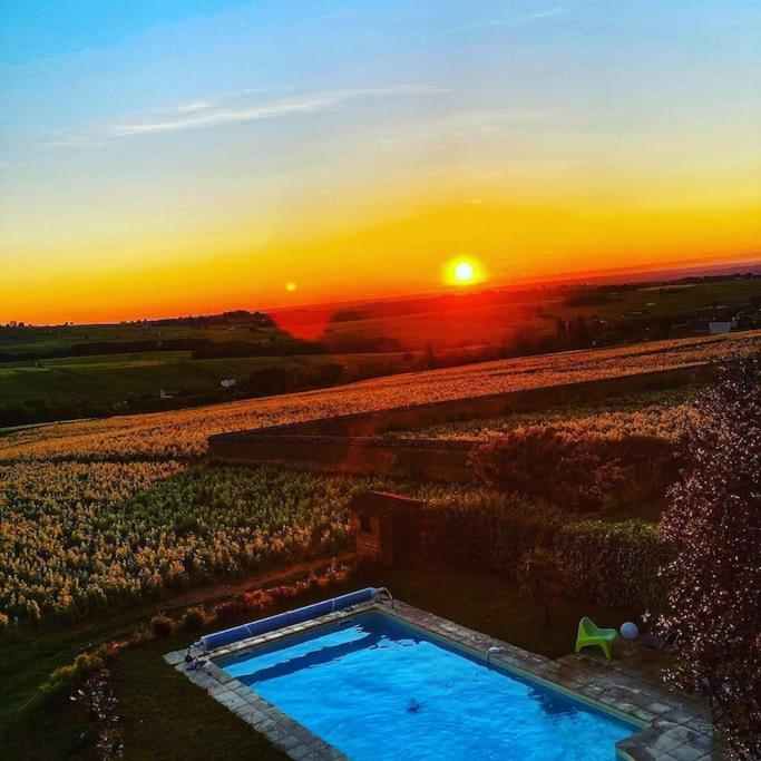 Apartment Au Coeur Des Vignes Chenas Du Beaujolais