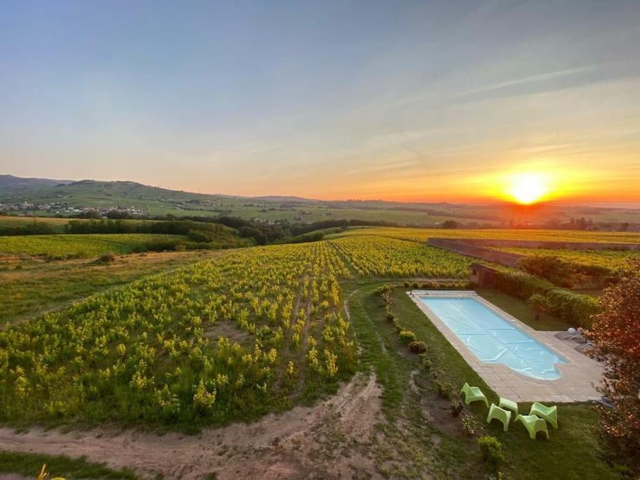 Au Coeur Des Vignes Chenas Du Beaujolais *