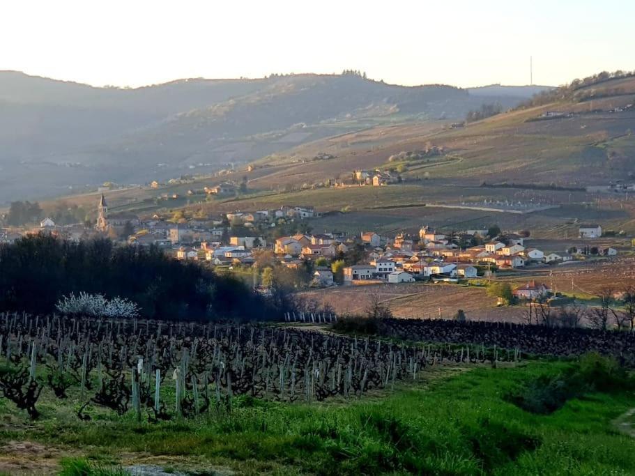 Apartment Au Coeur Des Vignes Chenas Du Beaujolais *